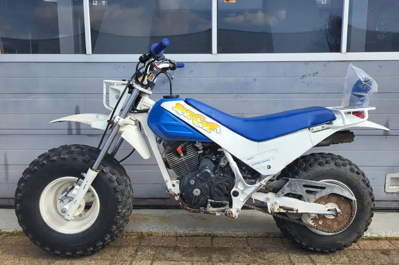 Honda TR200 Fat Cat (1986)