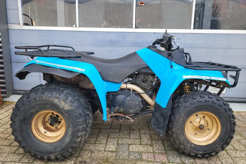 Yamaha Moto-4 (0)