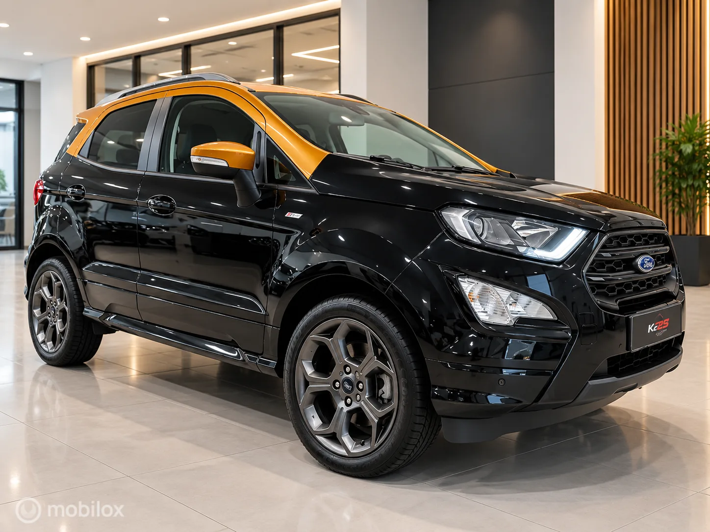 Ford EcoSport (2019) — foto 1