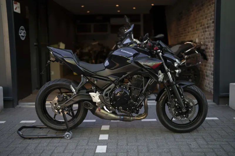 Kawasaki Z650 (2021)