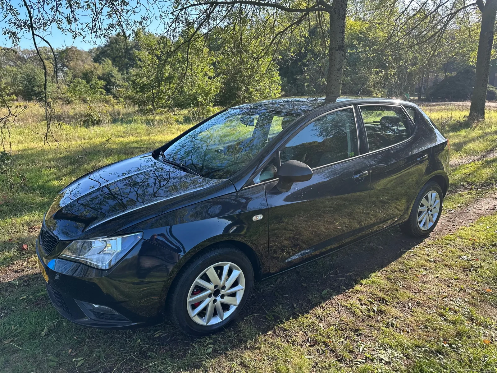 SEAT Ibiza (2012) — foto 1