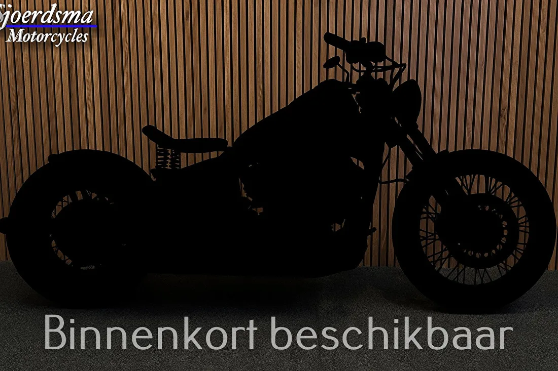 Yamaha FZS 1000 Fazer (2003) — foto 1