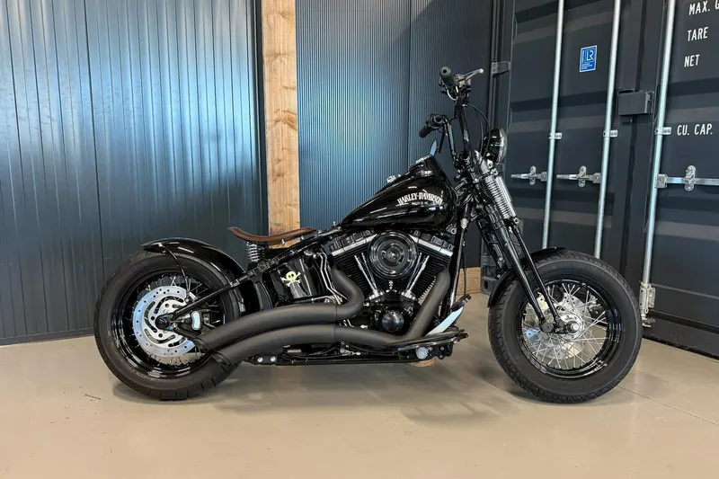 Harley-Davidson Crossbone FLSTSB 'Vivid Voltage' Custom (2010)