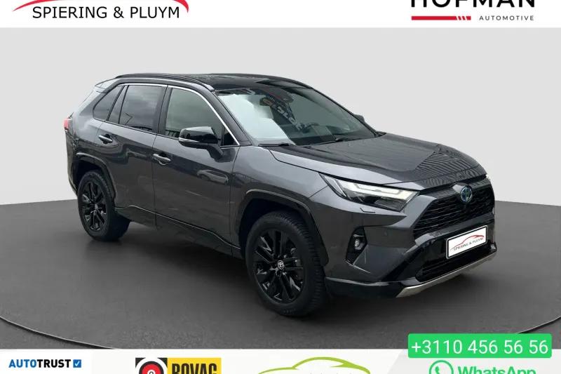 Toyota RAV4 (2019)