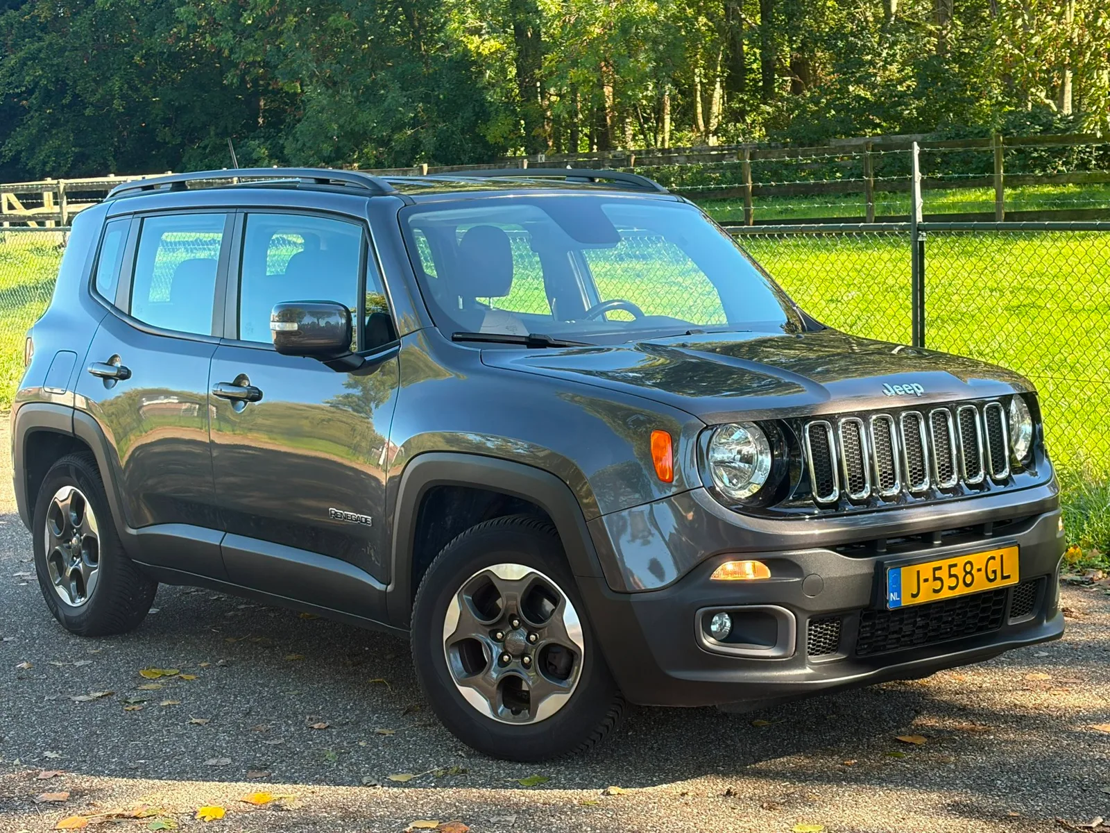 Jeep Renegade (2017) — foto 1