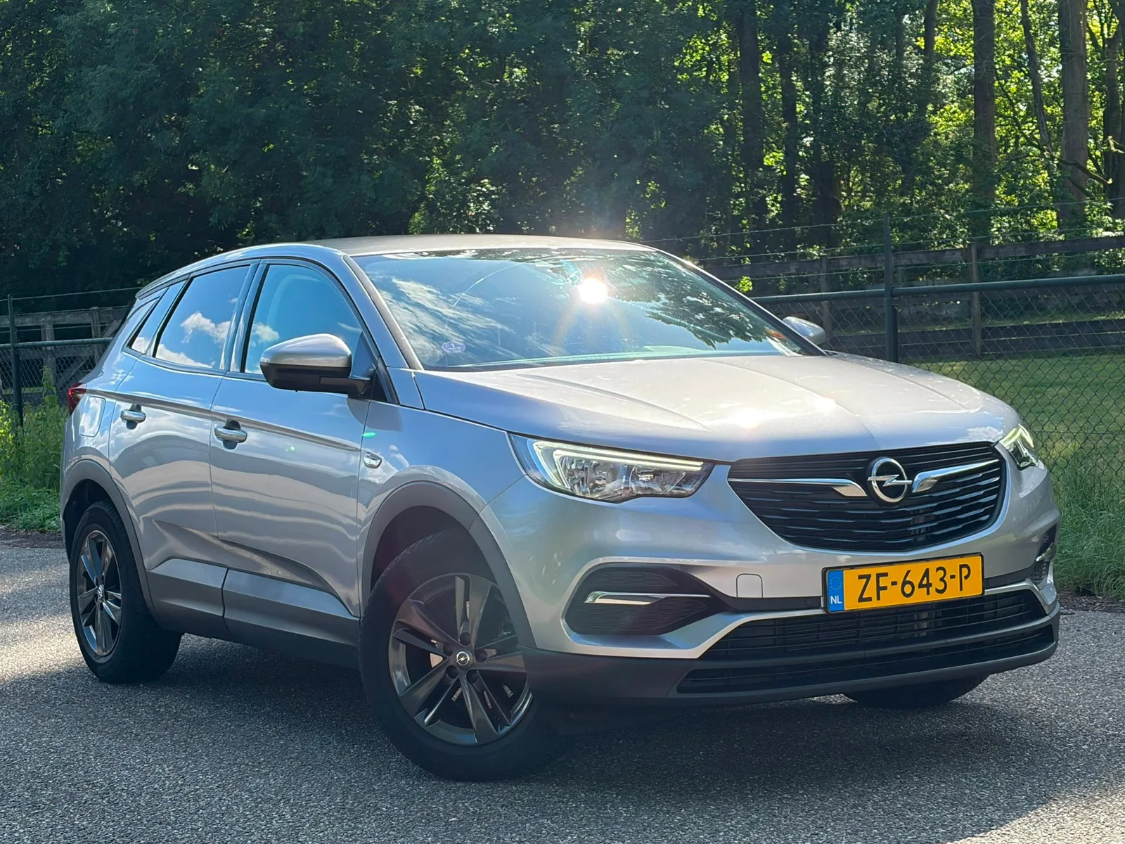 Opel Grandland X (2019) — foto 1