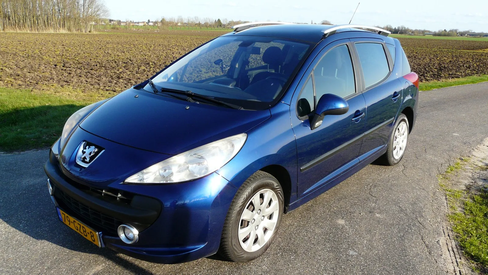 Peugeot 207 (2008) — foto 1