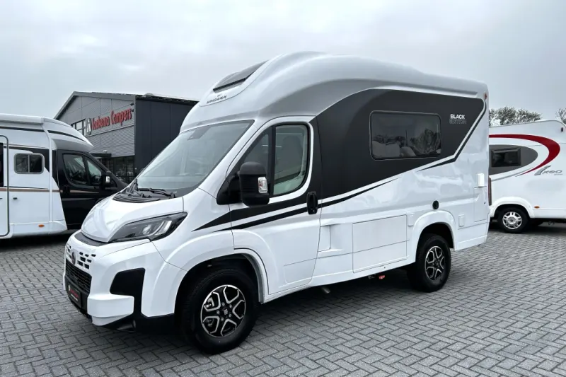 Wingamm Oasi (2026)