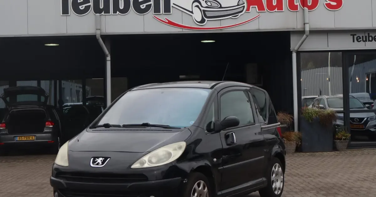 Peugeot 1007 (2007) — foto 1
