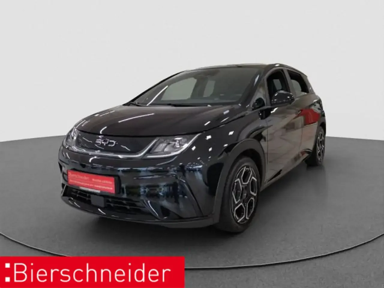 BYD Dolphin (2026) — foto 1