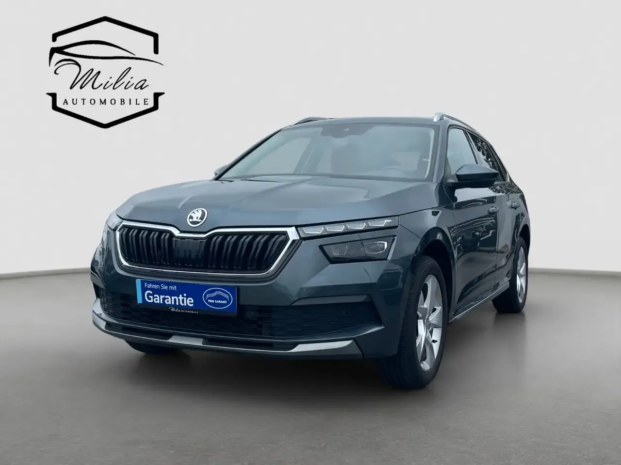Škoda Kamiq (2020) — foto 1
