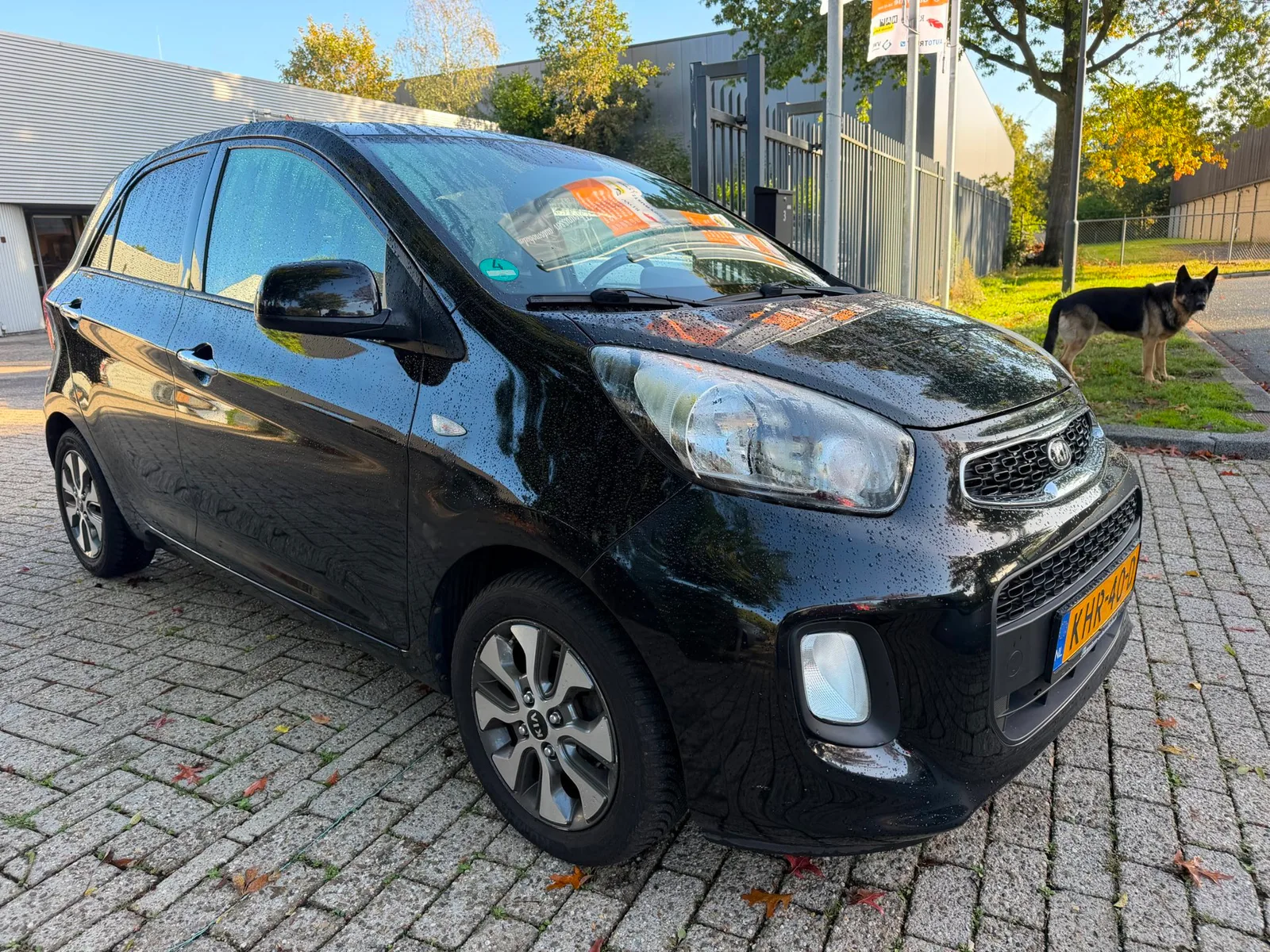 Kia Picanto (2016) — foto 1