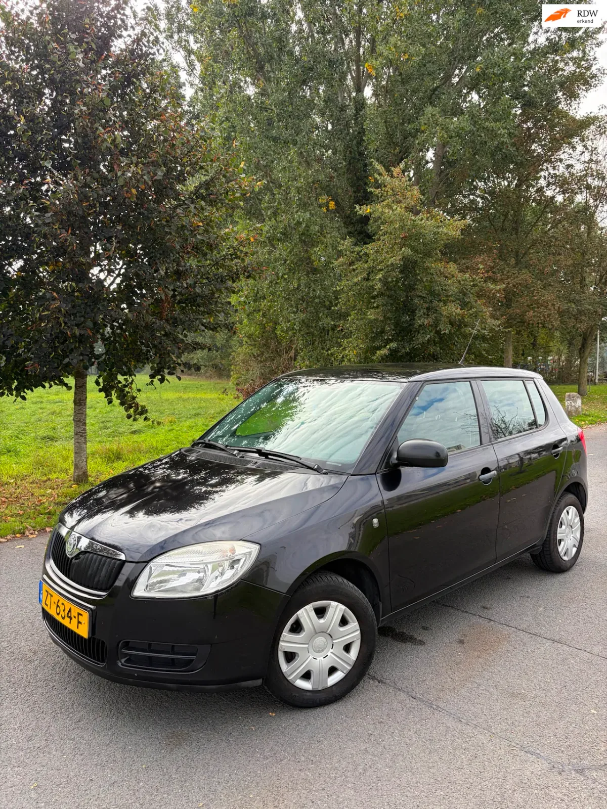 Škoda Fabia (2010) — foto 1