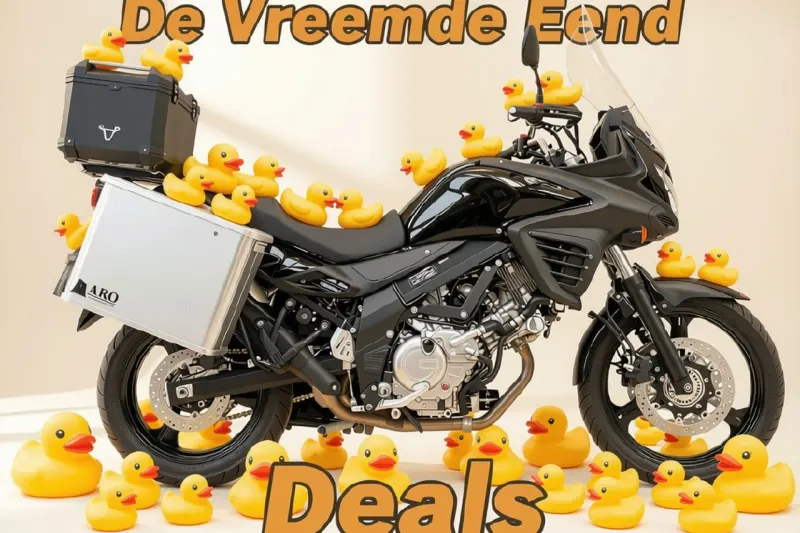 Suzuki DL650A (2013)
