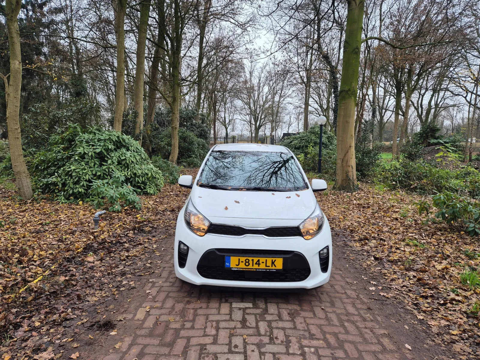 Kia Picanto (2020) — foto 1