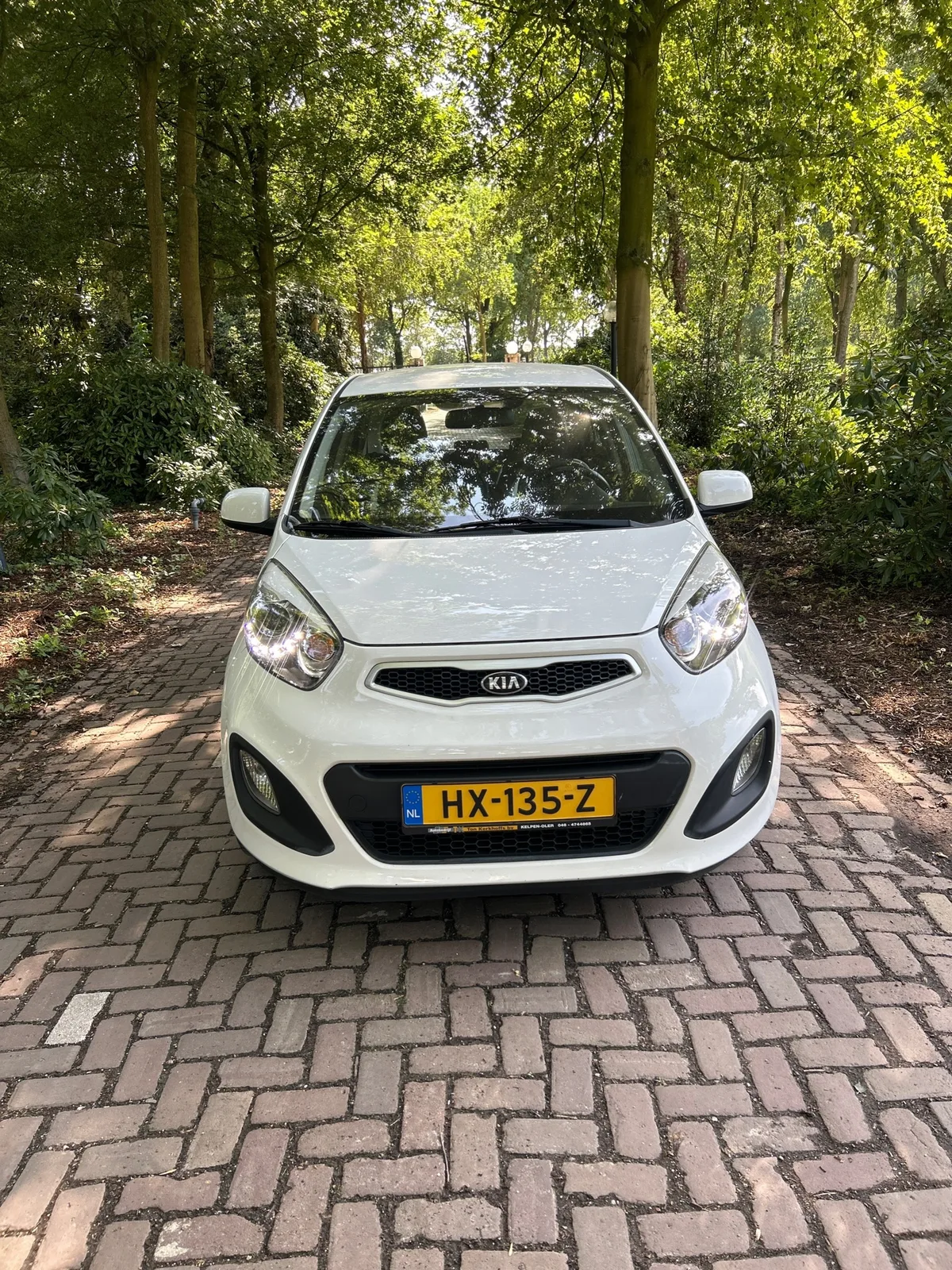 Kia Picanto (2016) — foto 1
