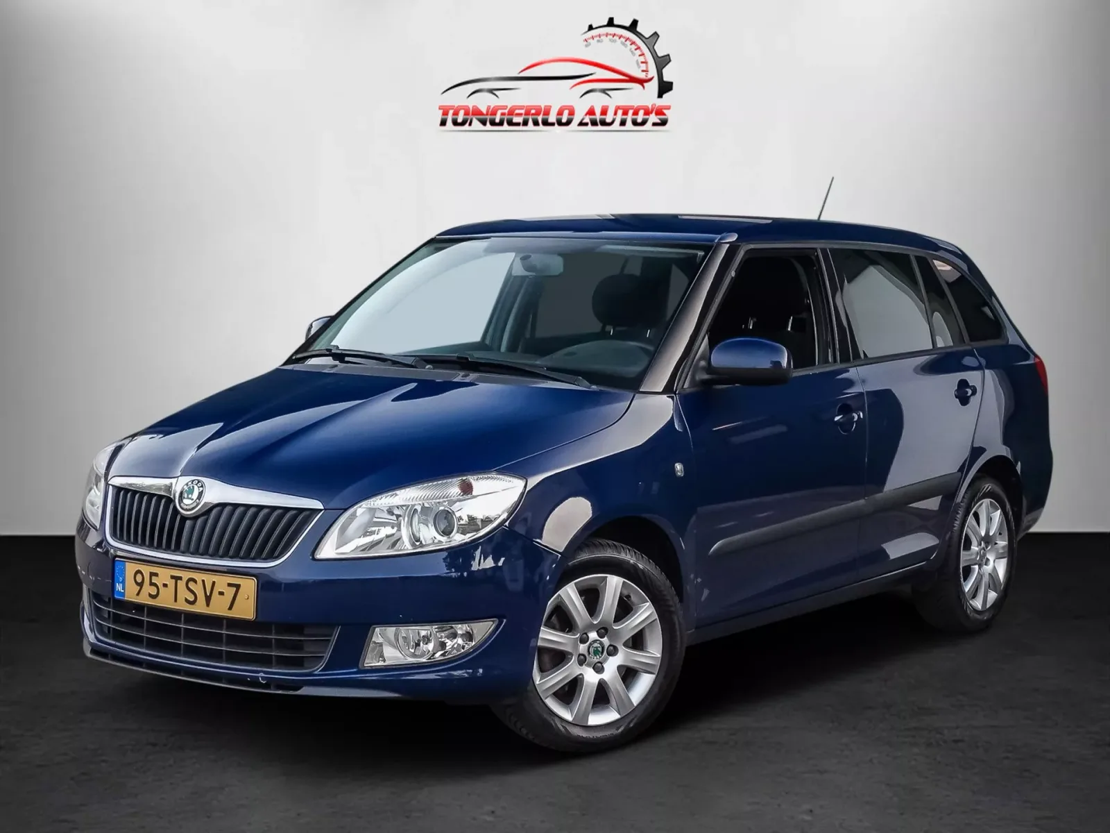 Škoda Fabia (2012) — foto 1