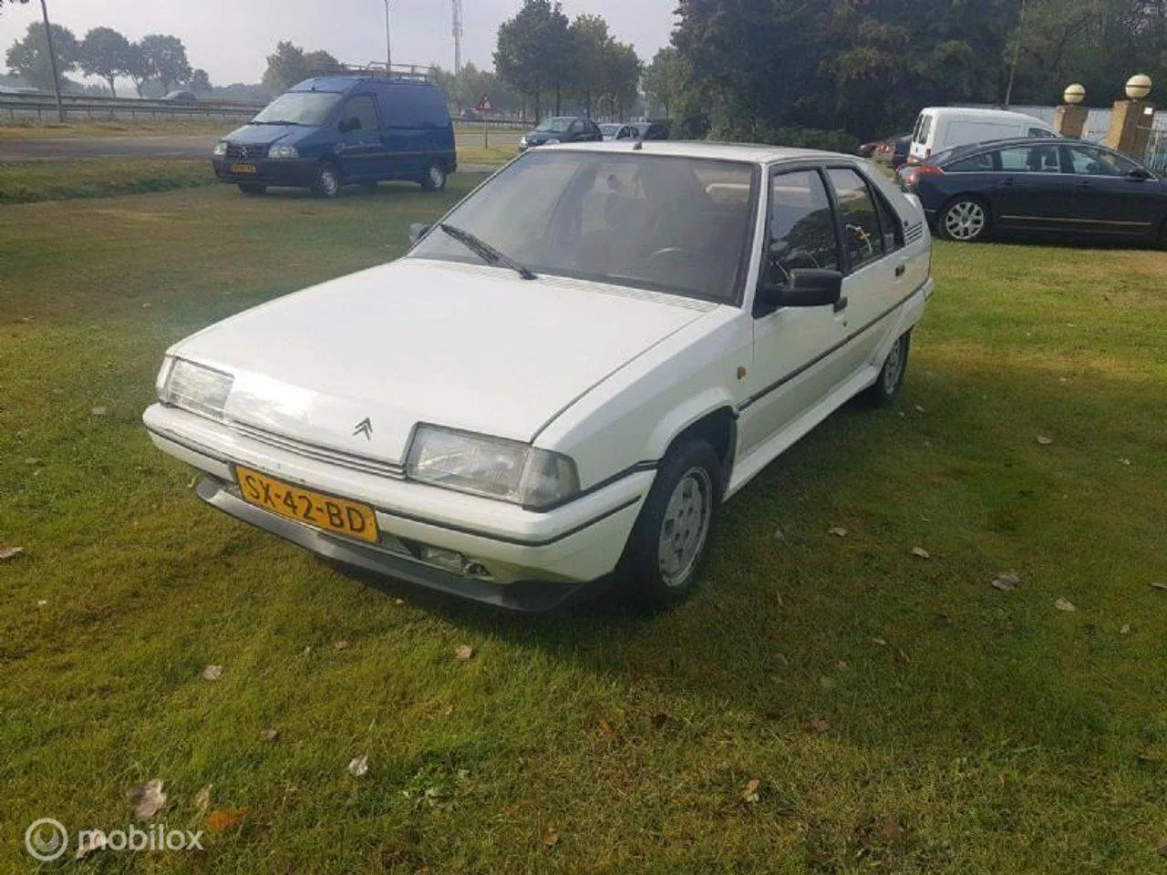 Citroën BX (1987) — foto 1