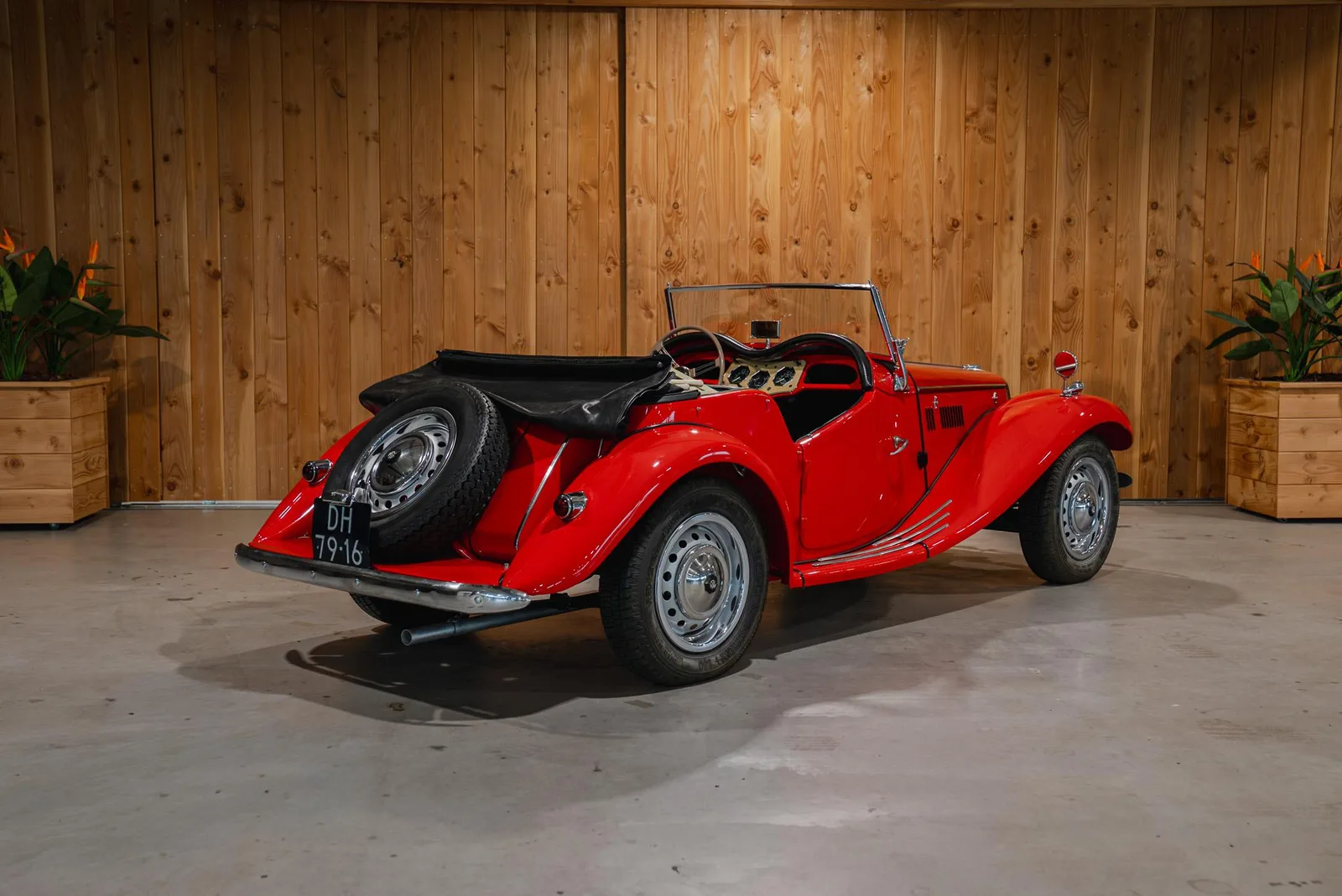 MG TF (1954) — foto 1