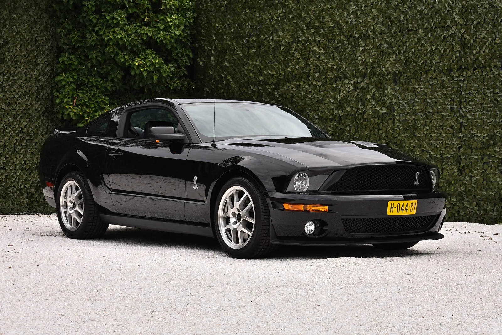 Shelby GT500 SVT (2009) — foto 1
