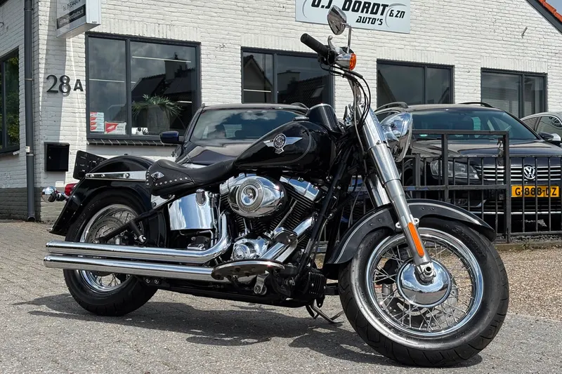 Harley-Davidson Heritage Classic (2010)