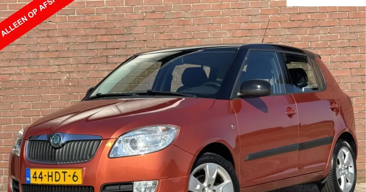 Škoda Fabia (2008) — foto 1