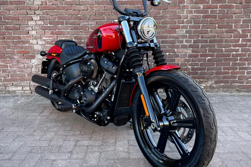 DS HARLEY (2024)