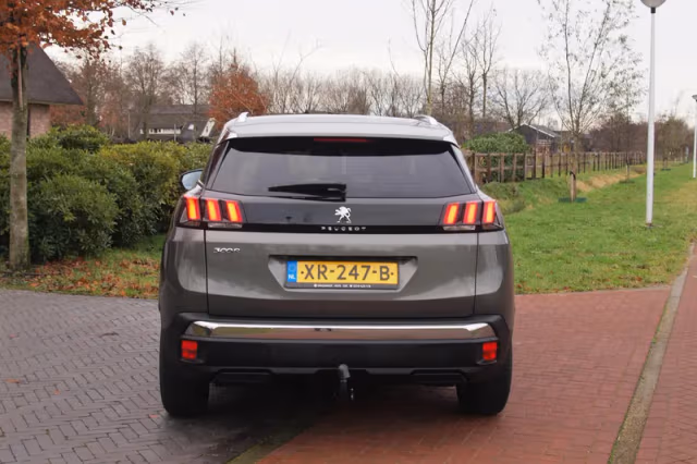 Peugeot 3008 (2019) thumbnail 11