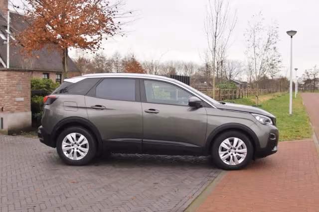 Peugeot 3008 (2019) thumbnail 13