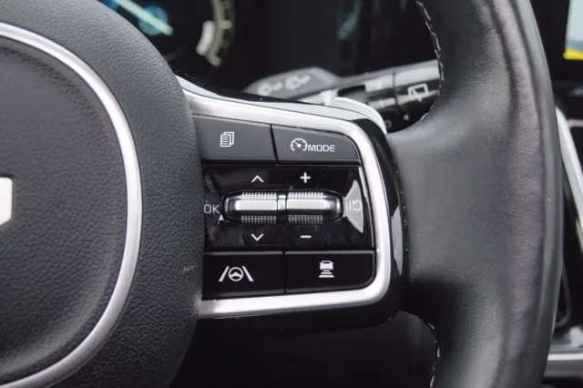 Kia Sorento (2022) thumbnail 19