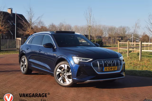 Audi e-tron (2020) thumbnail 2