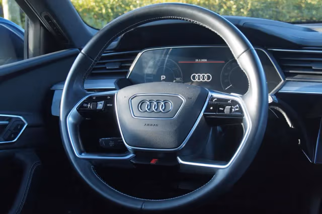Audi e-tron (2020) thumbnail 19