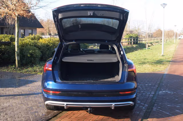 Audi e-tron (2020) thumbnail 33