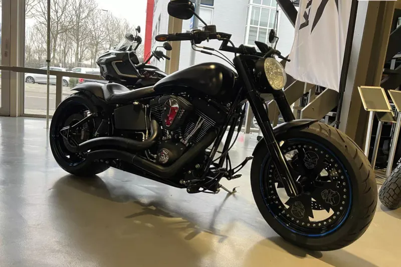 Harley-Davidson Fxstb Night Train (2006)