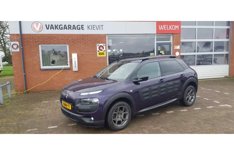 Citroën C4 Cactus (2017)