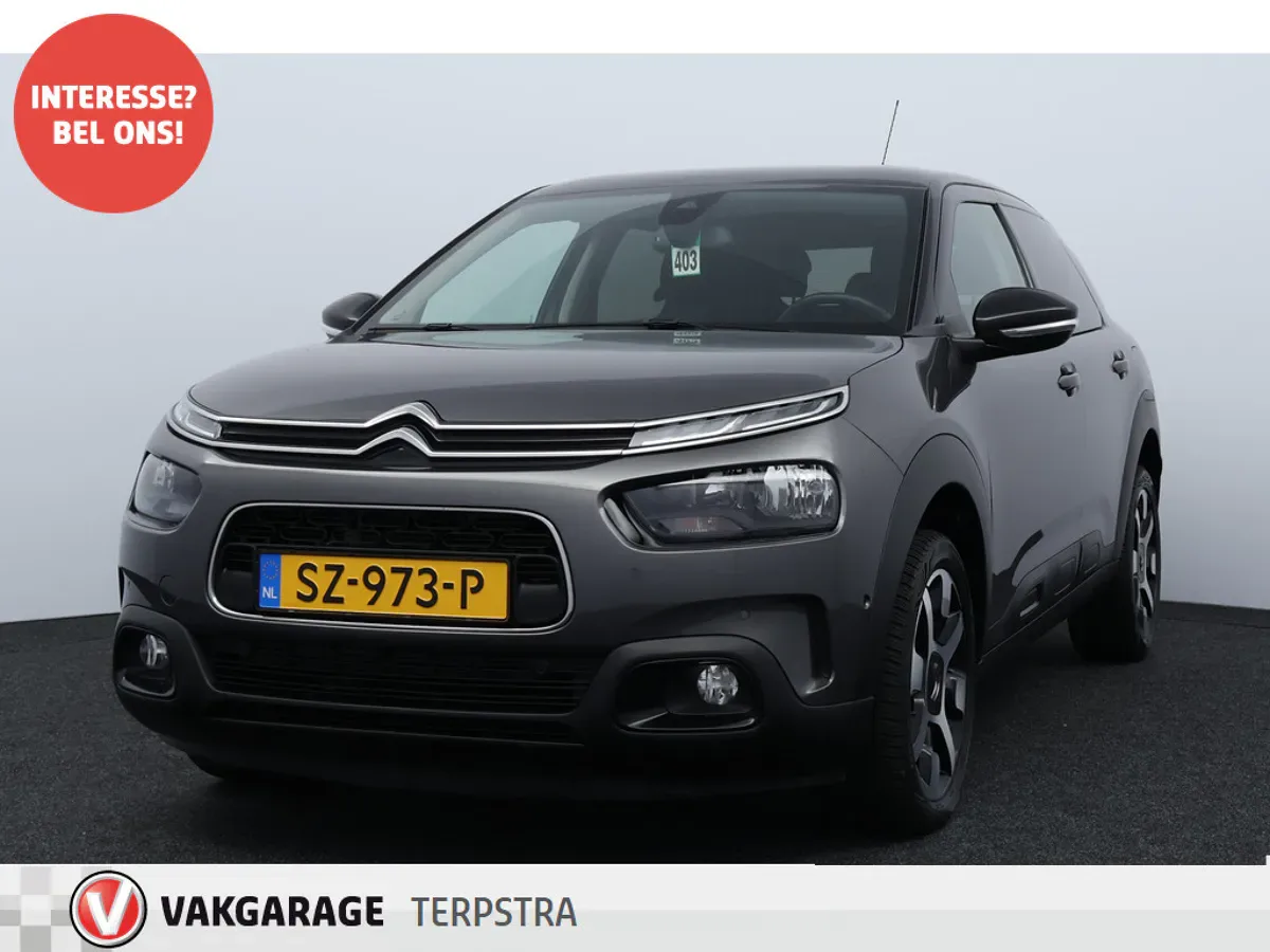 Citroën C4 Cactus (2018) — foto 1