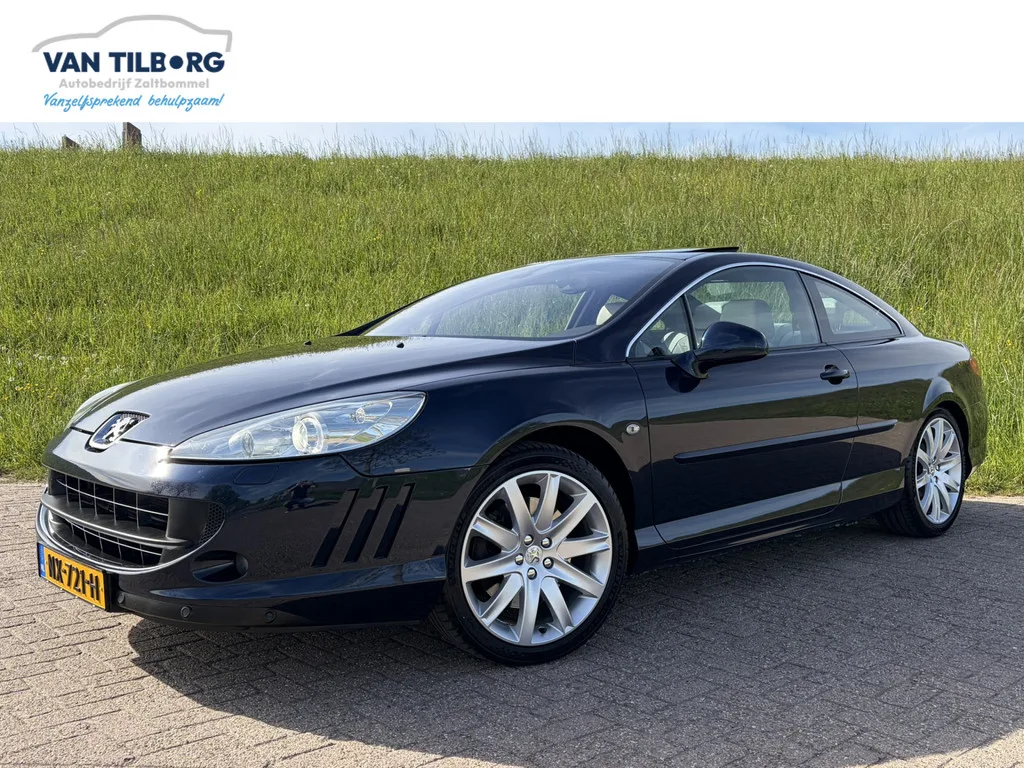 Peugeot 407 (2010) — foto 1