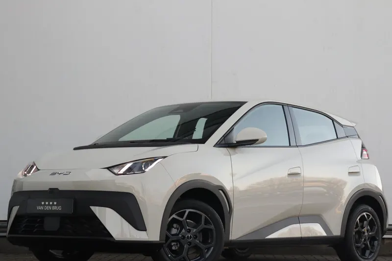BYD Dolphin (2026)