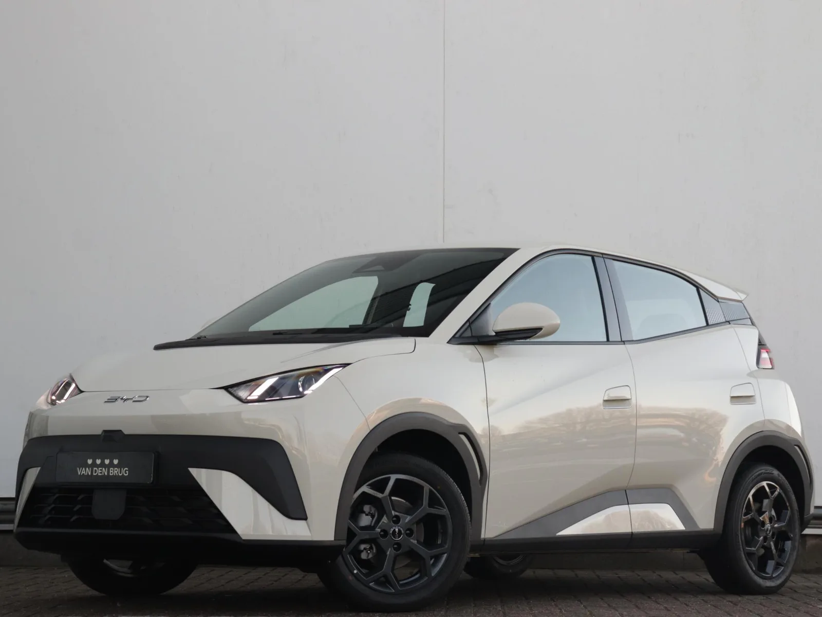 BYD Dolphin (2026) — foto 1