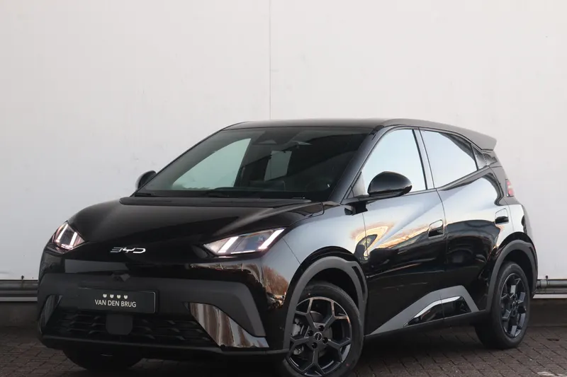 BYD Dolphin (2026)