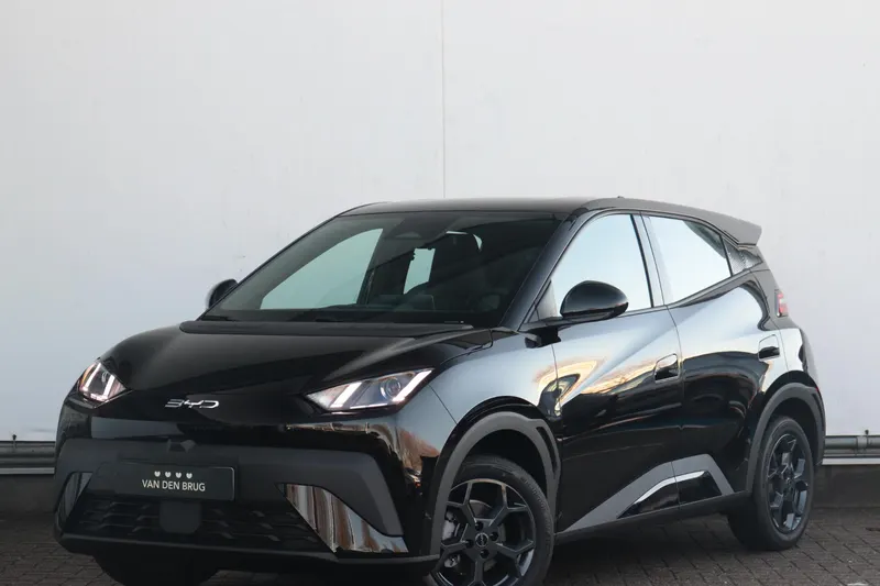 BYD Dolphin (2026)