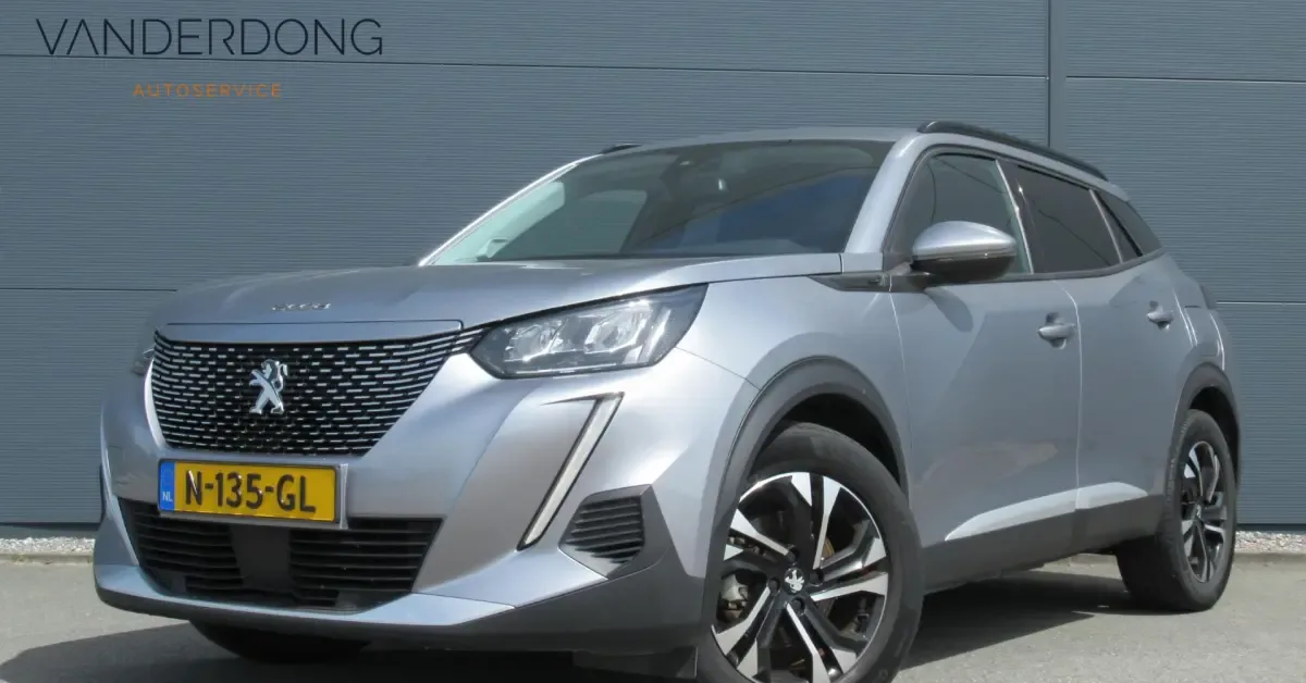 Peugeot e-2008 (2008) — foto 1