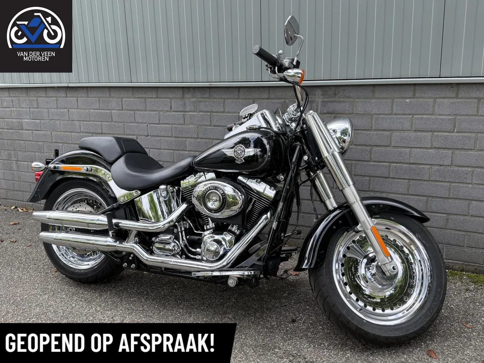 Harley-Davidson Softail 103 (2014) — foto 1