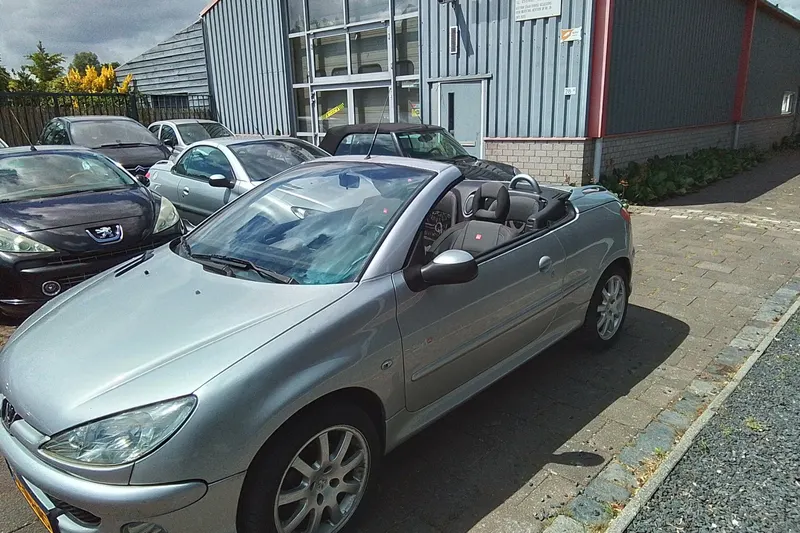 Peugeot 206 (2006)