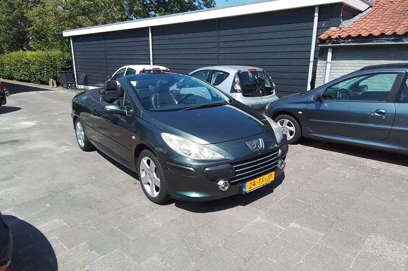 Peugeot 307 (2006)