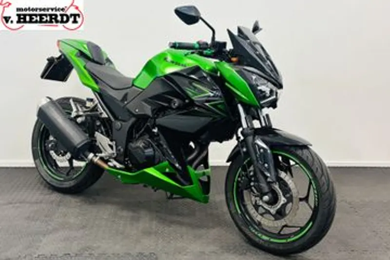 Kawasaki Z300 (2016)