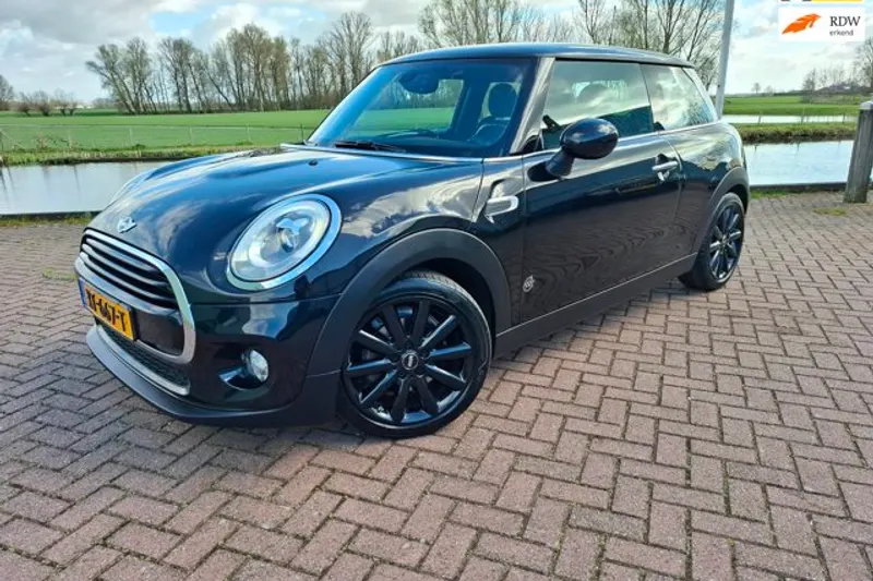 MINI  (2018)