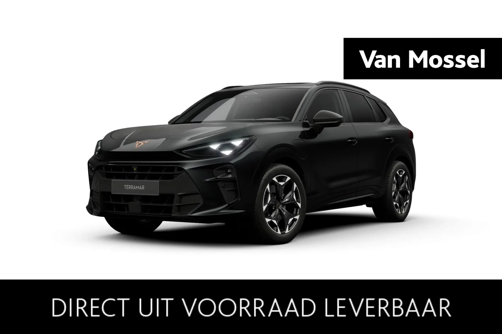 CUPRA Terramar (2026) — foto 1