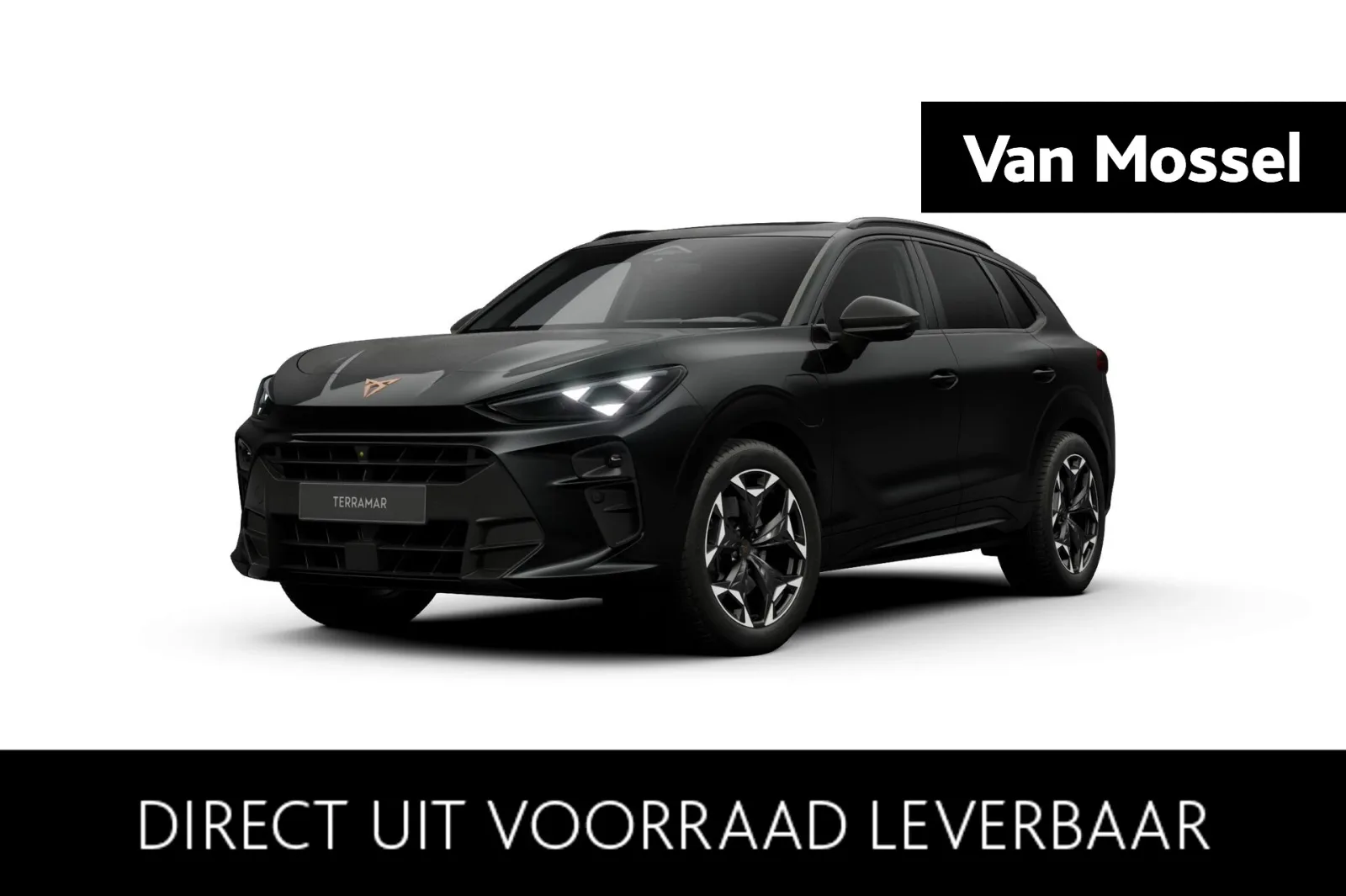CUPRA Terramar (2026) — foto 1