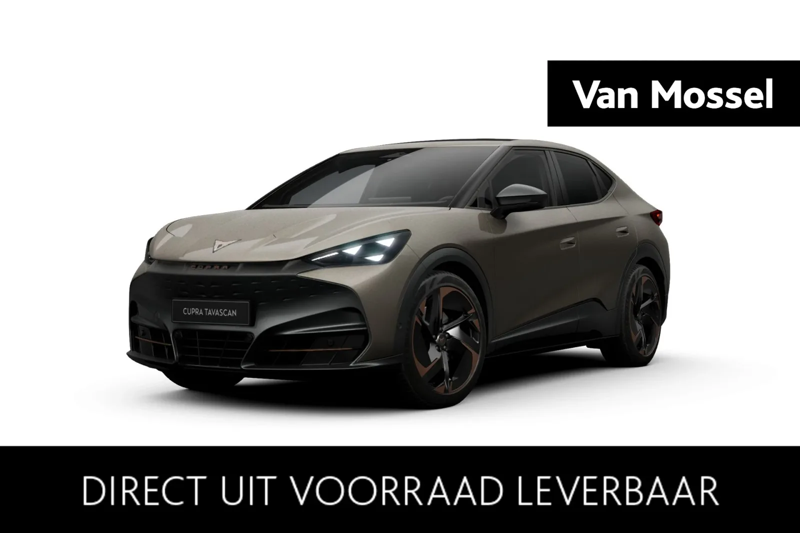 CUPRA Tavascan (2026) — foto 1